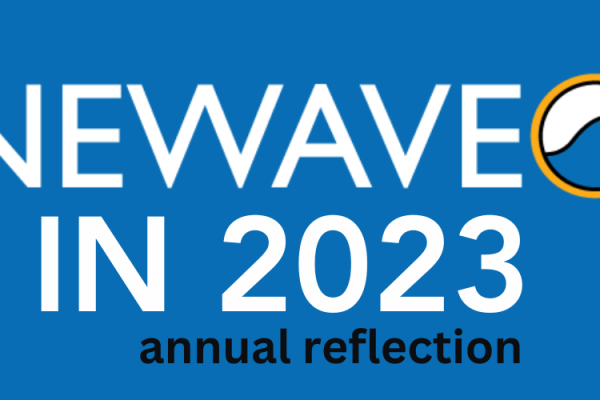 NEWAVE 2023: A short overview